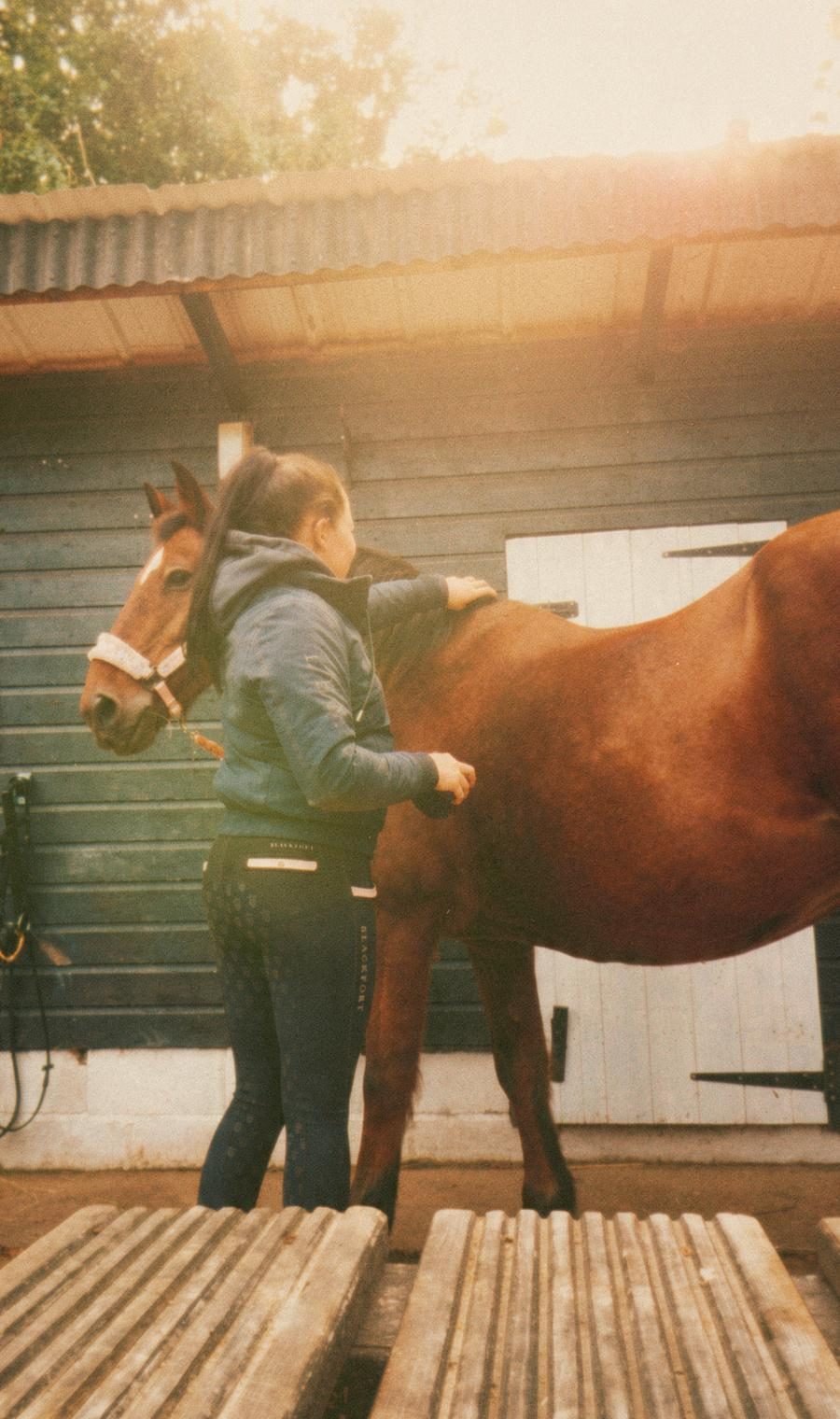 Grooming a chestnut horse outside the timber stables